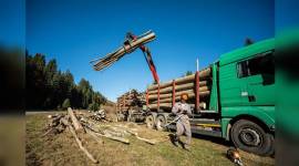 Into the woods-759 Florin Marzac, cornflakes, Romania, Romsilva Maramures, Strambu-Baiut Forest District, Ionut-Sorin Banciu, World Wildlife Fund, Hyderabad, August, Mikhail Tarasov, Ikea, Forest Stewardship Council (FSC), Harvard University, USA, Bucharest, Latvian Otto Zvagins, Unesco, indian express, indian express news