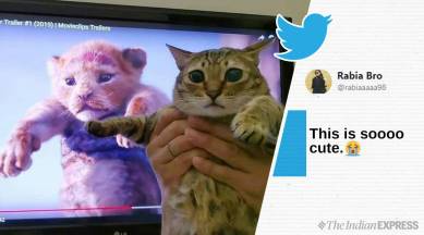 lion king, lion king animated, lion king teaser, lion king release date, lion king iconic scenes, viral lion king memes, indian express, indian express news