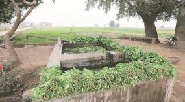 MOHALI759 no alt set