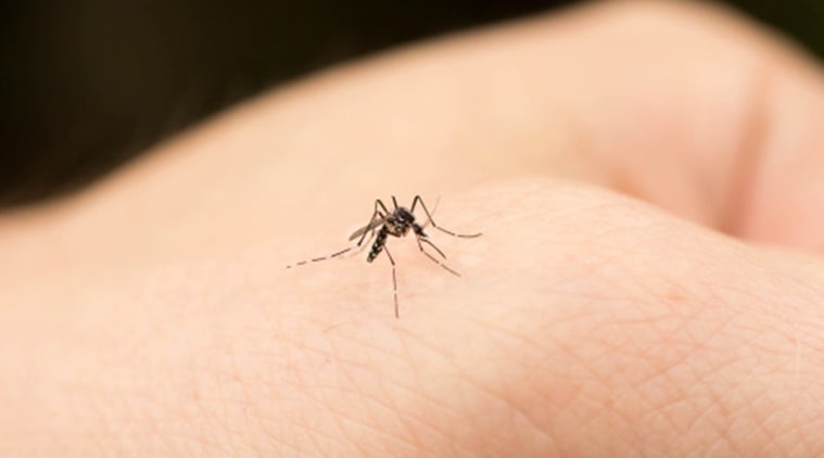 How To Prevent Mosquito Bites In Children