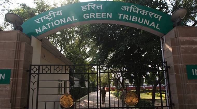 NGT asks petitioner to reveal source of litigation funding