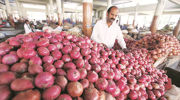 Pune: Engineering students design ‘self-propelled onion harvester’ to help out farmers