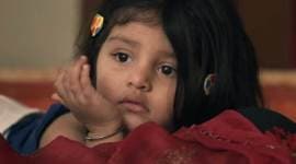 Pihu box office collection Vinod Kapri