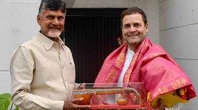 Andhra Pradesh Chief Minister Chandrababu Naidu met Congress president Rahul Gandhi in New Delhi on Thursday. (Twitter/INCIndia)