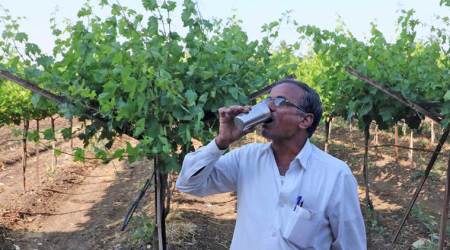 Maharashtra: Drought, market realities keep Gen Next away from farming