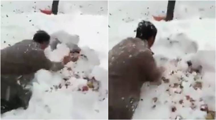 kashmir, snowfall in kashmir, snowfall kashmir spoiling fruits, fruits damaged snowfall, farmer crying for damaged fruits, viral video
