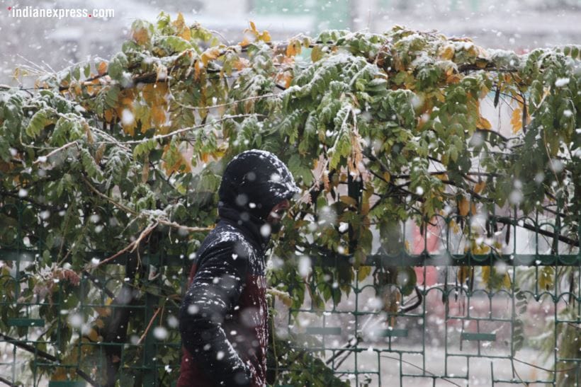 snowfall in srinagar, srinagar snowfall, srinagar snowfall photos, srinagar snowfall pics, j&k snowfall pics, snowfall in j&k pics, first snowfall in j&k photos, first snow in srinagar, first snow of the season, j&k news, Indian express