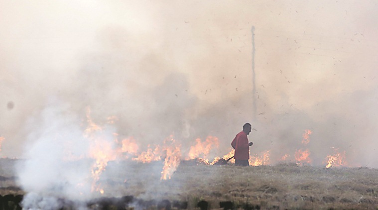stubble burning, crop burning, punjab stubble burning, punjab crop burning, stubble burning pollution, stubble burning delhi, punjab farmers, elections 2019, lok sabha elections 2019