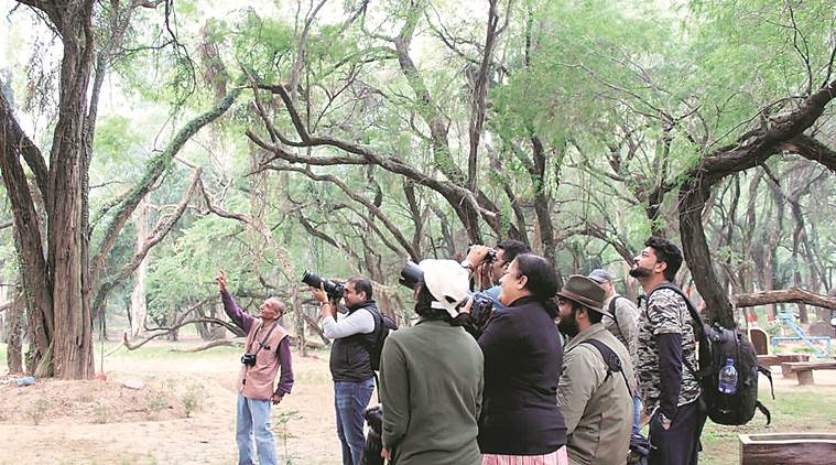 Waterfowl at Sukhna down to 417 from 717 recorded last yr: Latest census