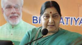 elections 2019, lok sabha elections, lok sabha elections 2019, narendra modi, prime minister narendra modi, pm modi, sushma swaraj, surgical strikes, oppostion, voters, terrorism, balakot air strike, pakistan, indian express news