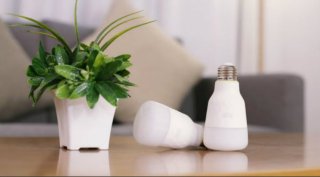 Electronics, Electromagnetism, Chemistry, Display technology, Molecular electronics, Energy-saving lighting, Conductive polymers, Chemical bonding, OLED, Unpaired electron, Light-emitting diode, Semiconductor, Jilin University, the journal Nature, lighting