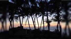 A Coconut Grove by the Sea-759 Rome, Florence, Istanbul, Prague, Paris, Amsterdam, Colombo, chicken soup, sushi, South Asia, Arab, Chinese, India, Dutch, Portuguese, indian express, indian express news