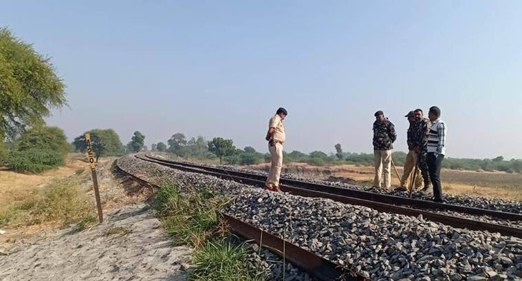 Three Asiatic lions mowed down by goods train in Amreli