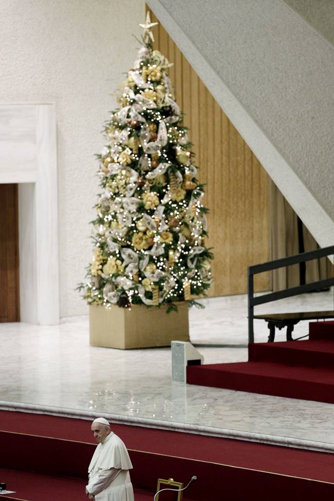 Christmas 2018, Christmas tress, stunning Christmas trees