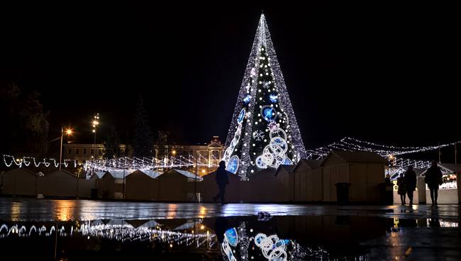 Christmas 2018, Christmas tress, stunning Christmas trees