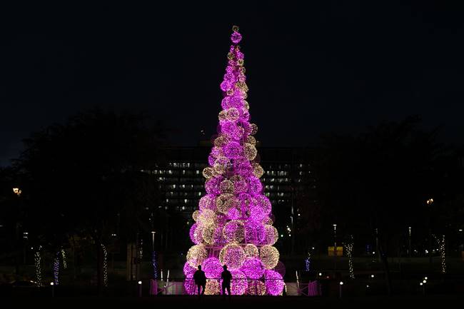 Christmas 2018, Christmas tress, stunning Christmas trees