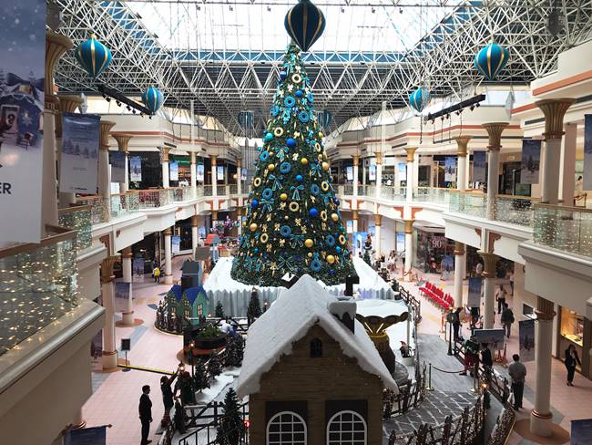 Christmas 2018, Christmas tress, stunning Christmas trees