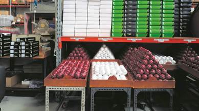 Kookaburra balls, how are Kookaburra balls made, Kookaburra balls factory, Kookaburra balls australia, Cricket, Virat kohli Kookaburra balls, indian express
