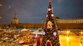 Christmas 2018, Christmas tress, stunning Christmas trees