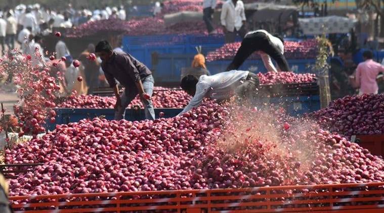 As glut hits prices in Maharashtra onion hub, farmers lose hope, brace for bleak new year