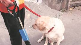 BMC fined pet owners, 92 pet owners fined, pet owners fined for not carrying poop-scooper, Mumbai news, Indian express