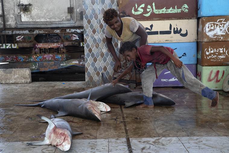 Yemen’s deadly seas: Fishermen come under fire in Saudi war