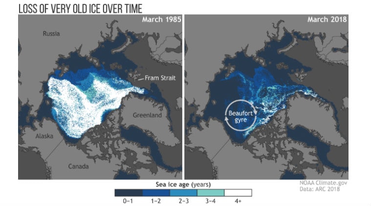 Arctic had second-lowest sea ice coverage this year: Report ...