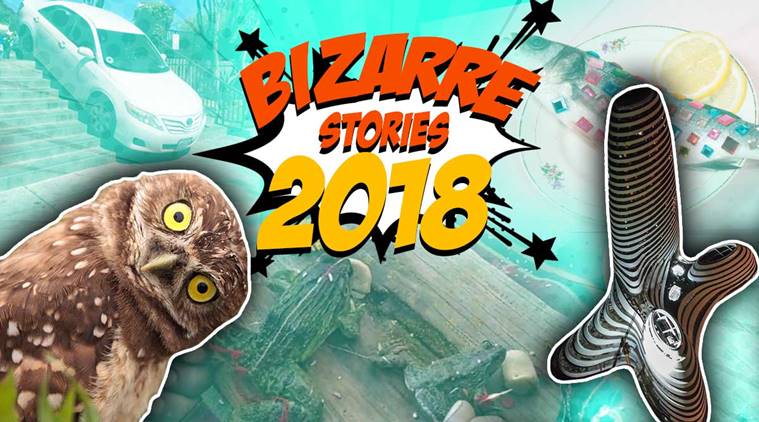 year ender, year ender 2018, bizarre stories, most bizarre stories 2018, woman cooks boyfriend, China media centre, Uber driver, frog marriage, viral stories, bizarre viral stories, funny stories 2018,