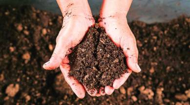 soil, soil and environment, soil and plastic, soil and plastic pollution, inert urban spaces, soil renewal, environmental spaces, indian express, indian express news