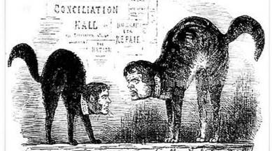 what are Kilkenny cats. mentioned in supreme court in cbi vs cbi case