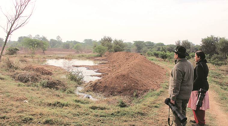 Chandigarh: UT constructs shallow water body in Nagar Van to woo birds