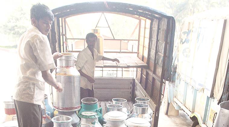 Dairies, buyback milk pouches from consumers, sale of milk in plastic pouches, Mumbai news, Indian Express