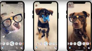 Cat Face on Dog Lens by Hayden - Snapchat Lenses and Filters