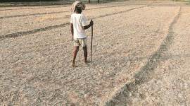 RBI monetary policy, RBI monetary policy committee meeting, RBI, food inflation, farm commodity prices, drought in India, farmers in India, India news, business news, Modi government, Indian Express