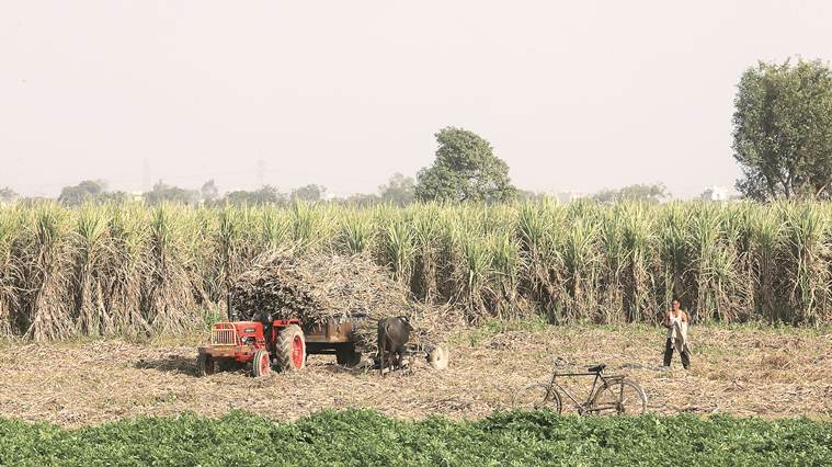 farmers distress, bjp farmers, elections farmers, farmers sops elections, lok sabha elections, farm loan waivers, congress bjp farmers sops, kharif crops farmers, elections news, latest news, india news, indian express, indian express explained
