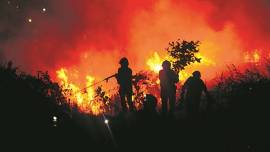 Fire in Mumbai, Fire in Aarey colony, Fire near infinity park, fire at Goregaon east, Mumbai News, Indian Express            