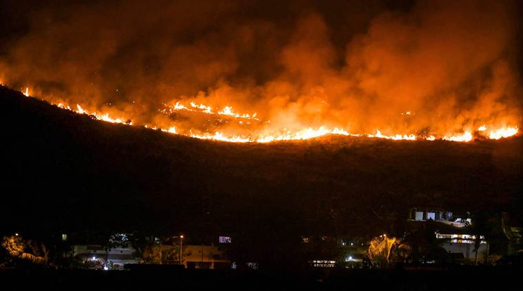 Maha environment minister seeks probe into Goregaon forest fire