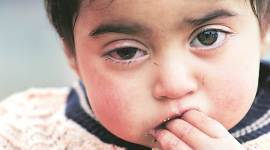 Hiba featured no alt set