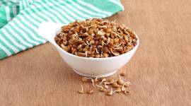 Horse gram, Kulath ki daal, kulthi, Benefits of Kulath, Horse gram benefits, Kidney stone disease treatment, indian express, latest news