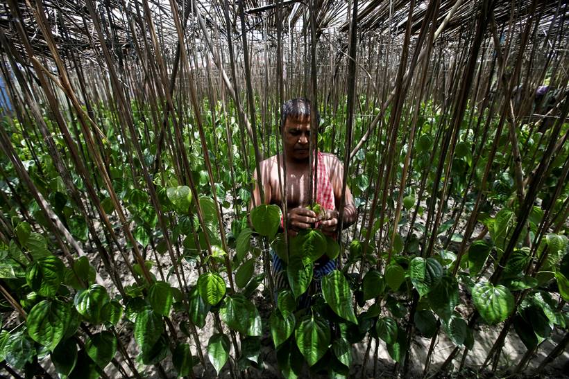 Villagers fear for survival on India's disappearing island