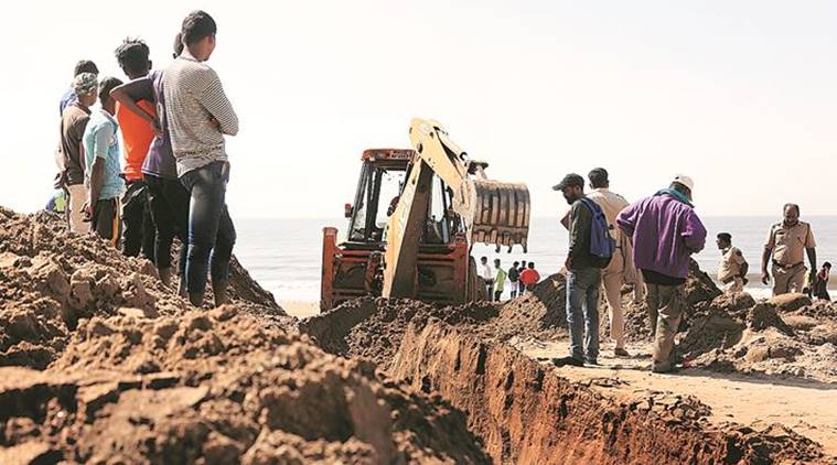 Forest dept fails to find 40-foot whale carcass that washed ashore in 2017