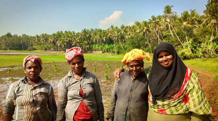 Kerala: How one woman reached out to 500, raised an agro company