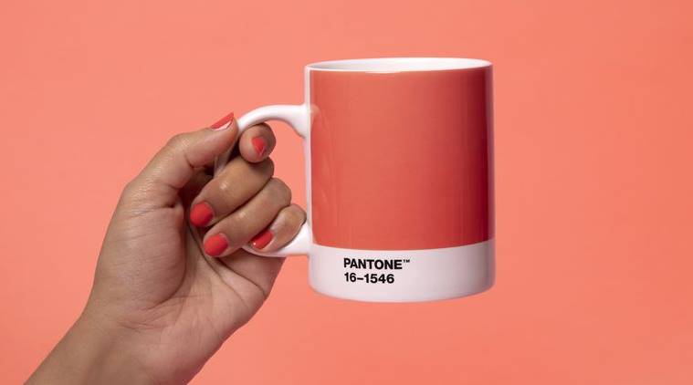 Pantone Has Crowned ‘living Coral As The 2019 Colour Of The Year 1229