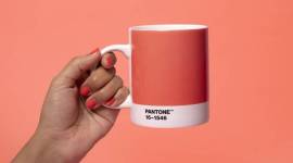 pantone, pantone colour of the year 2019, colour of the year pantone living coral living coral colour, living coral colour trend, indian express, indian express news
