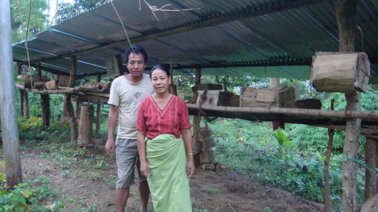 Nagaland Beekeeping and Honey Mission