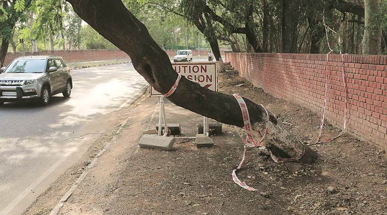 Only until removal of encroachments: Parking along houses ok for now, says Punjab and Haryana HC
