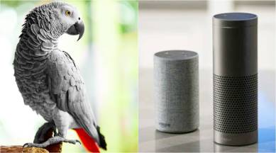 Parrot orders amazon, parrot alexa, parrot orders online, aleca parrot viral story, naughty parrot, grey parrot, african grey parrot, amazon alexa, indian express, indian express news