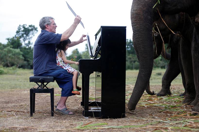 Classical piano soothes sick elephants at Thai sanctuary
