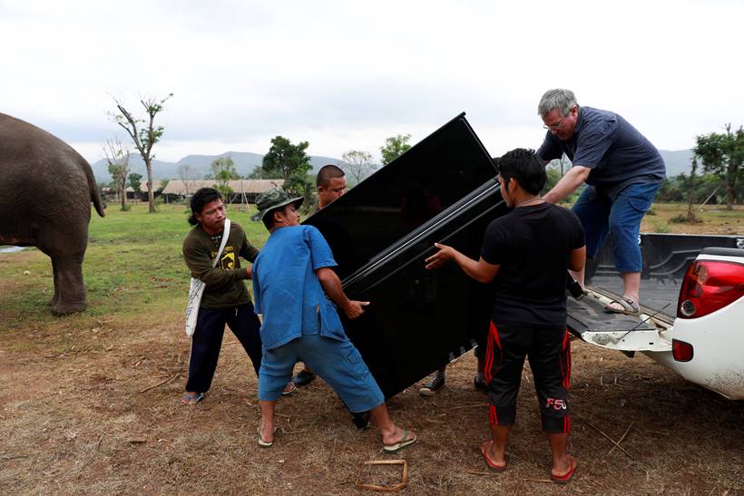 Classical piano soothes sick elephants at Thai sanctuary