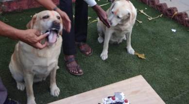 After 10 years of service, Radha and Rani retire from Pune Rural Police